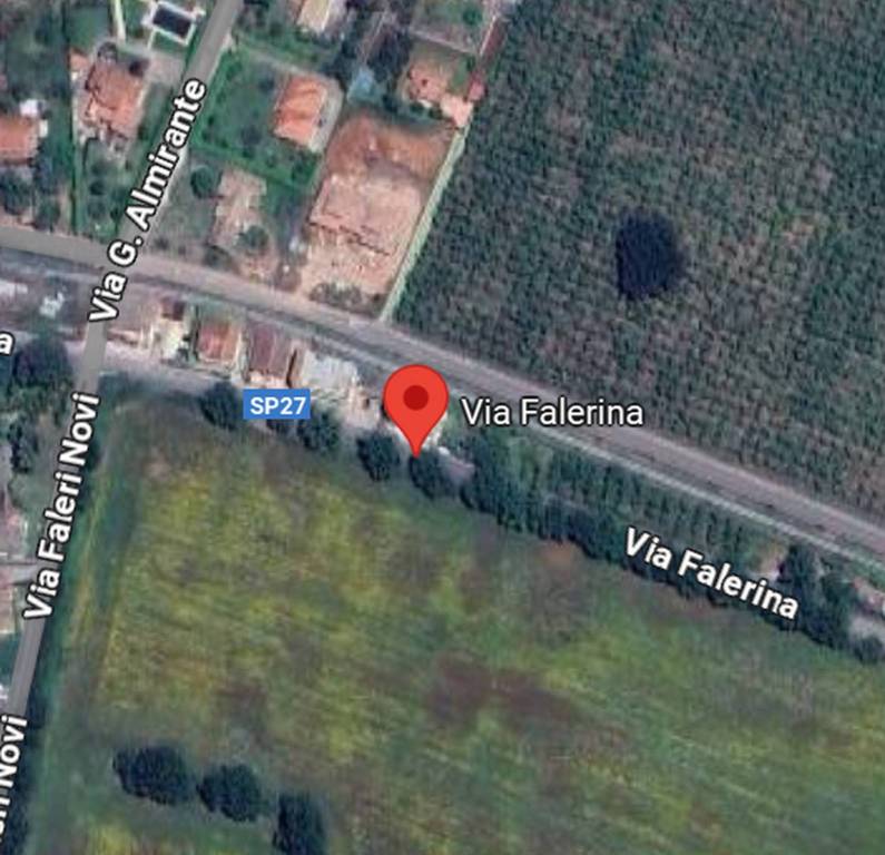 immagine annuncio 5 di 11