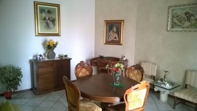 immagine annuncio 3 di 14