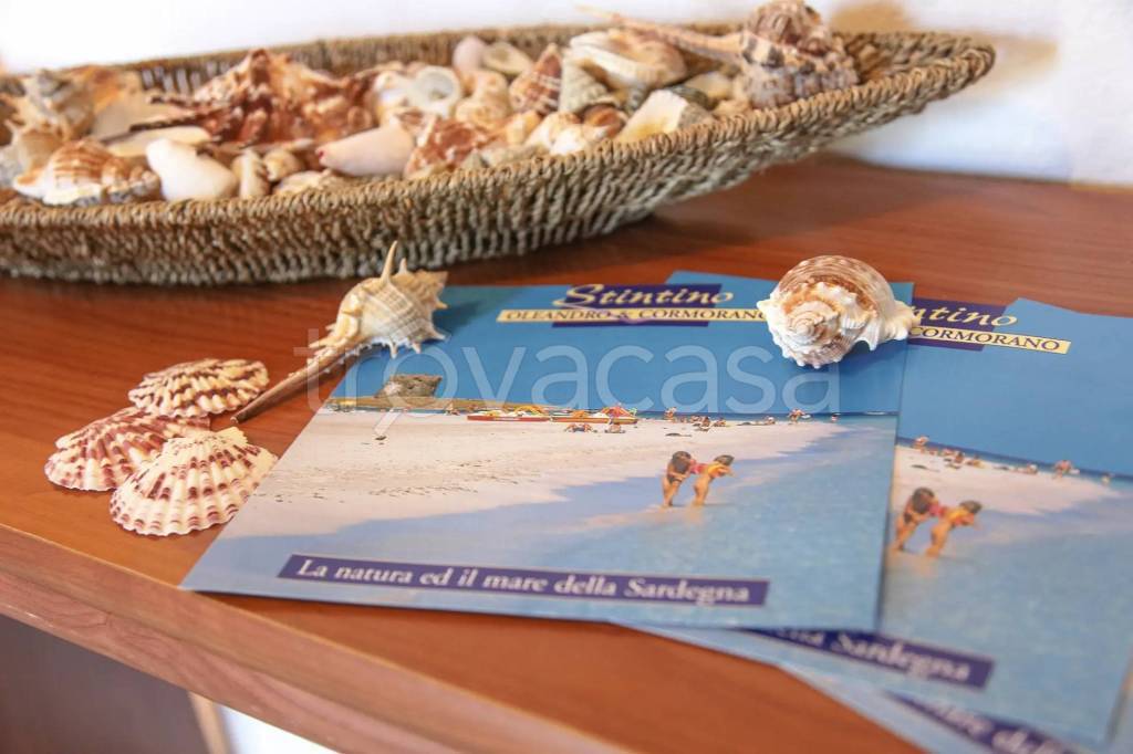 immagine annuncio 8 di 9