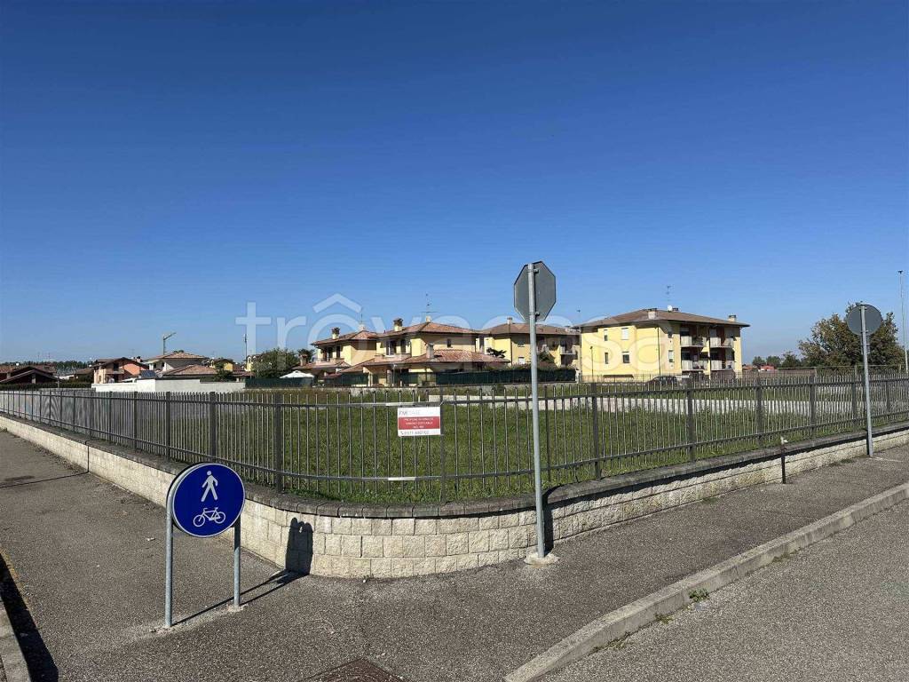 immagine annuncio 5 di 11