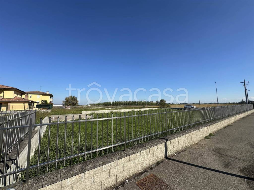 immagine annuncio 8 di 11