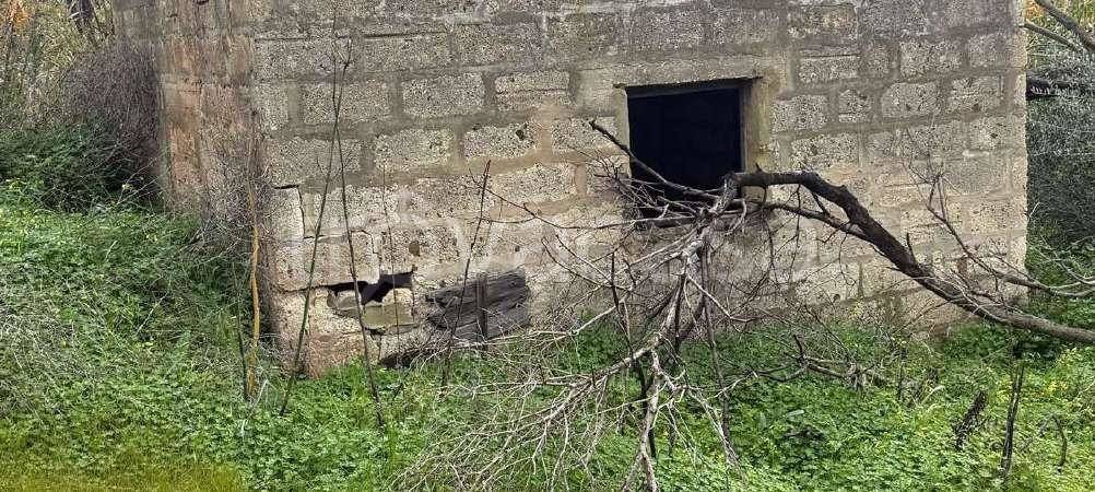 immagine annuncio 9 di 14