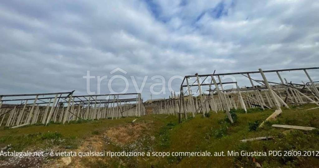 immagine annuncio 11 di 14