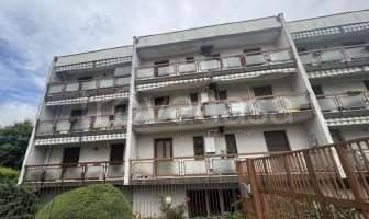 immagine annuncio 2 di 6