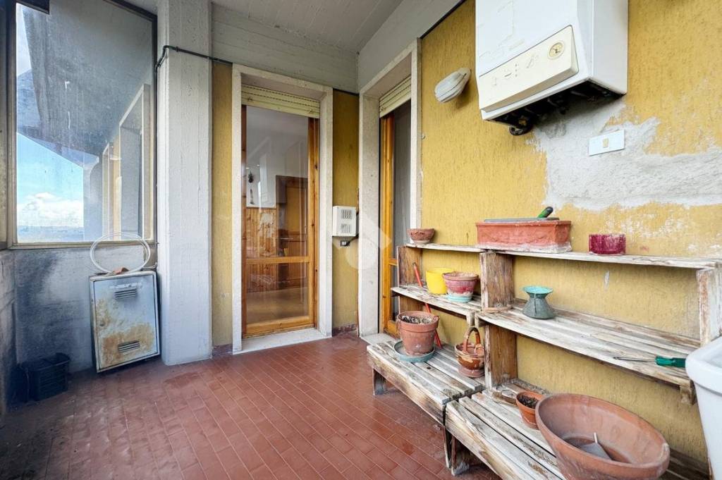 immagine annuncio 7 di 15