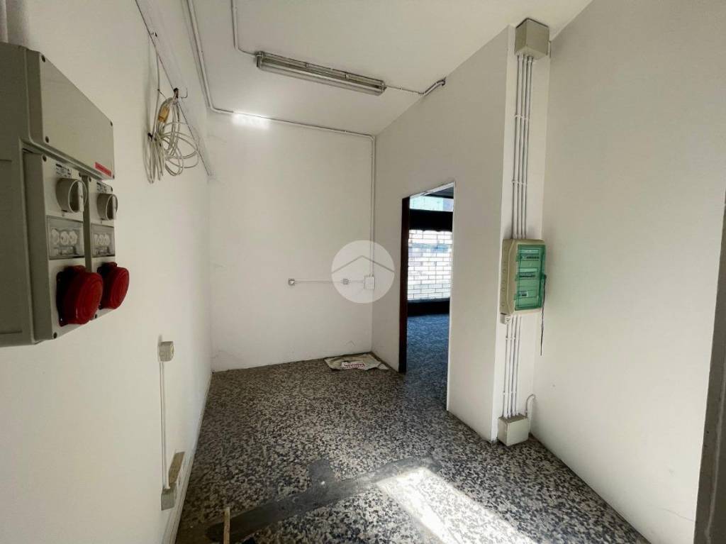 immagine annuncio 7 di 11