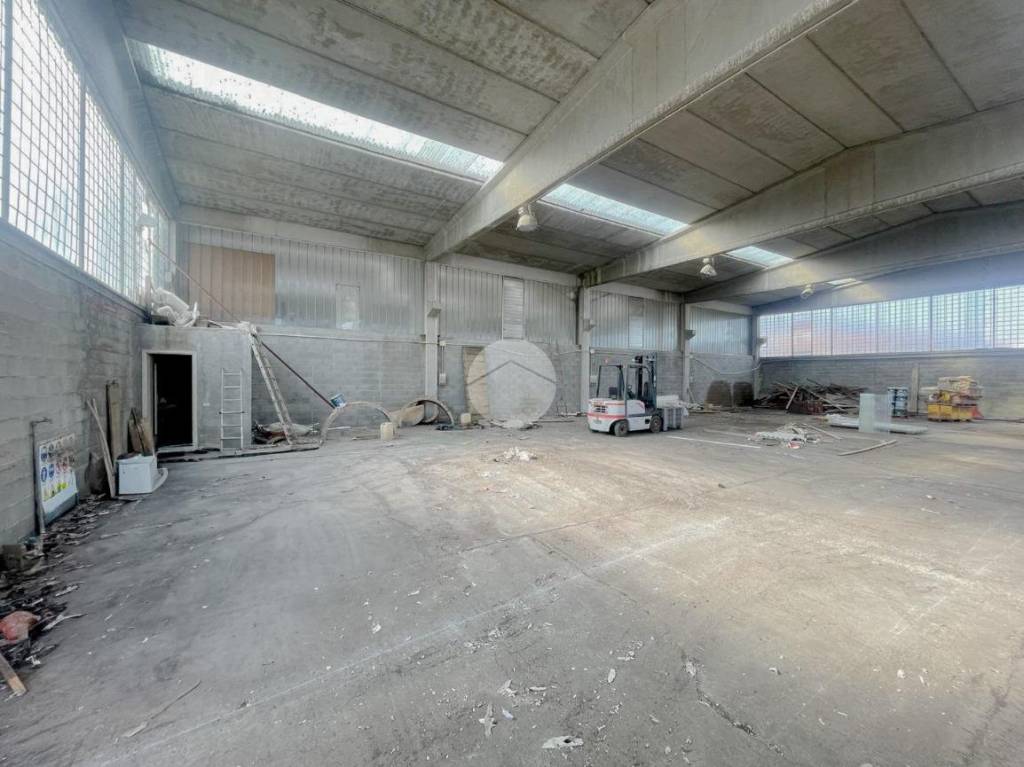 immagine annuncio 7 di 10