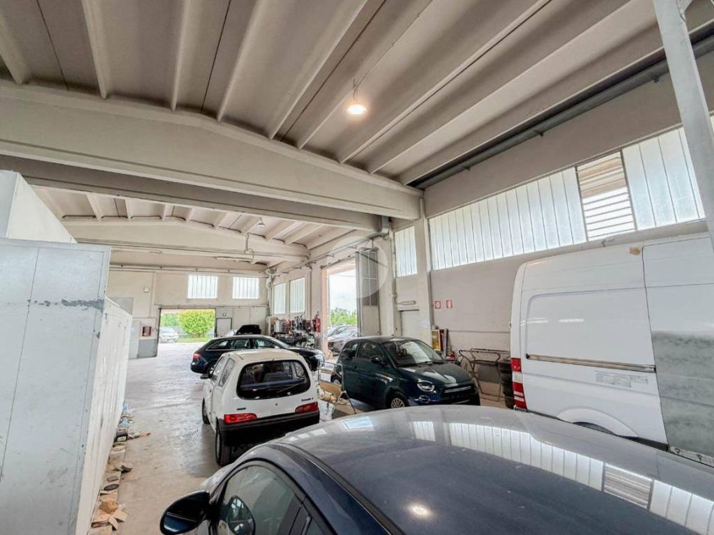 immagine annuncio 1 di 8