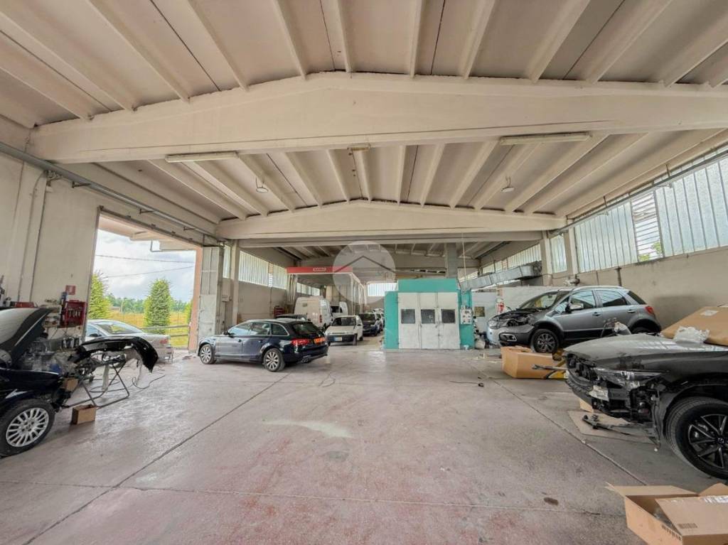 immagine annuncio 3 di 8