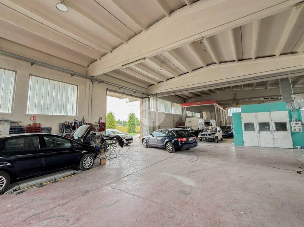 immagine annuncio 7 di 8