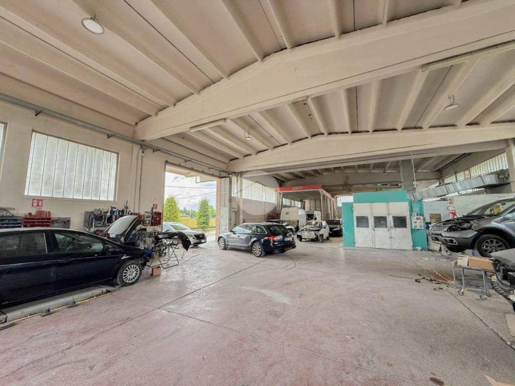 immagine annuncio 4 di 8