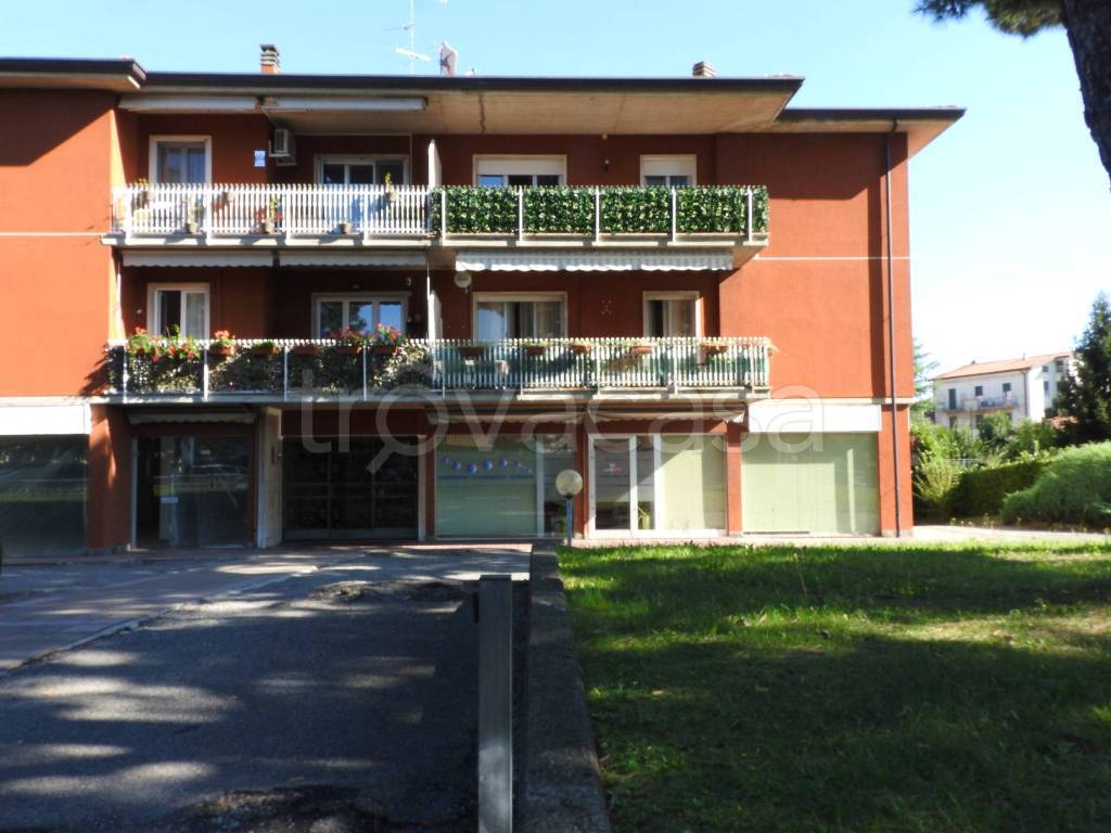 immagine annuncio 12 di 13