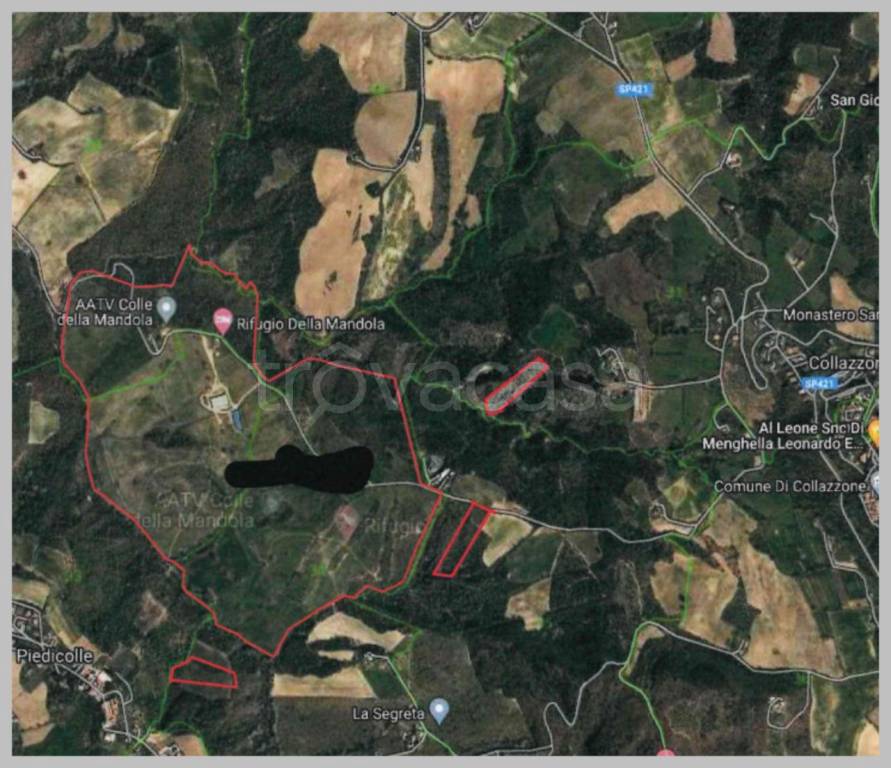 immagine annuncio 11 di 15