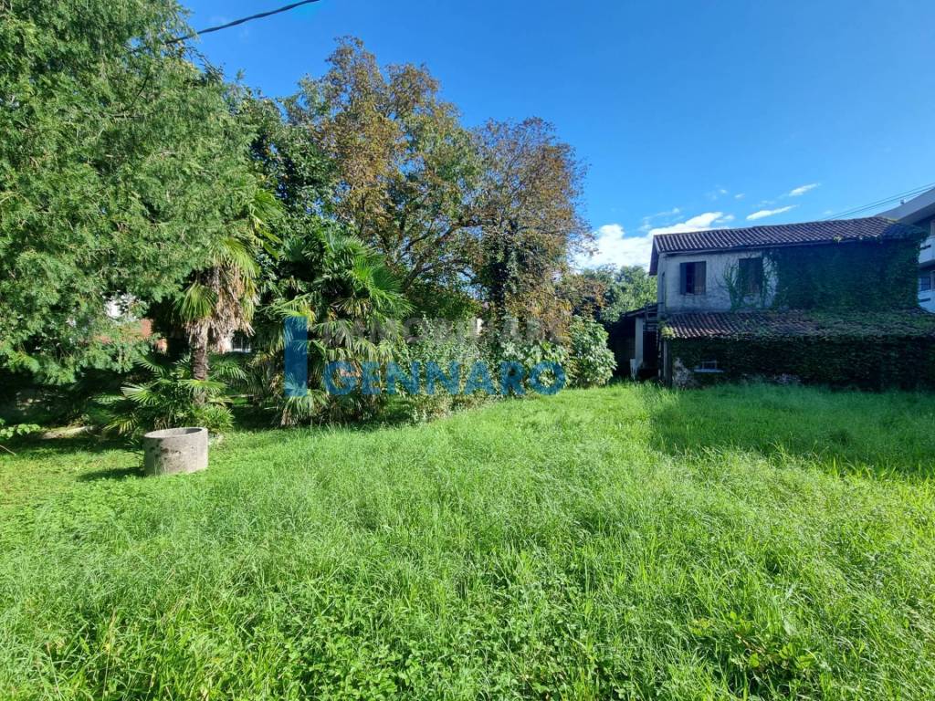 immagine annuncio 3 di 11