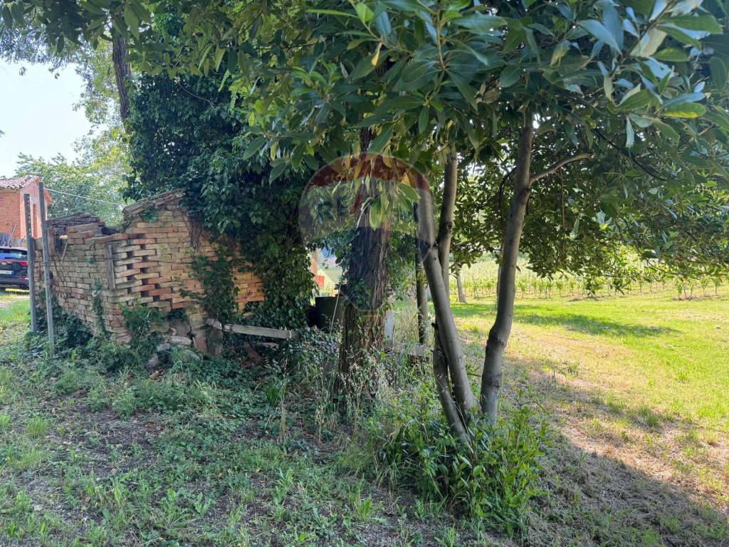 immagine annuncio 11 di 12