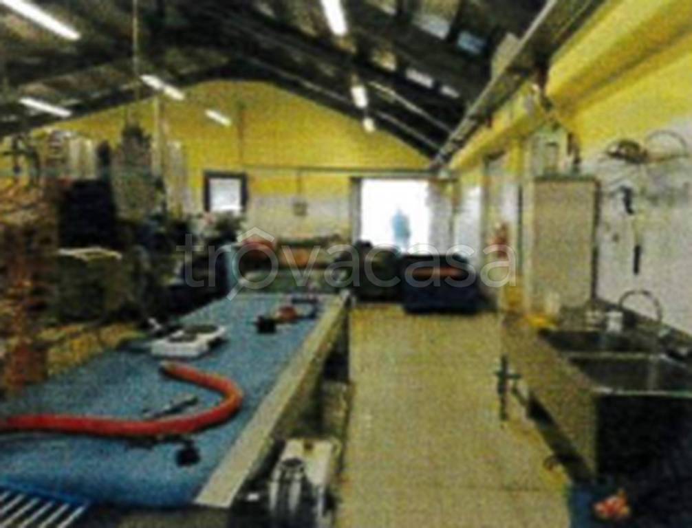 immagine annuncio 7 di 12