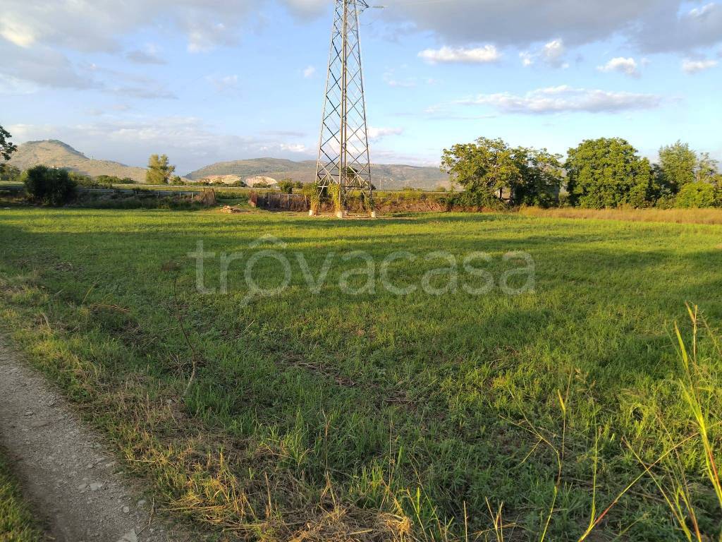 immagine annuncio 8 di 12