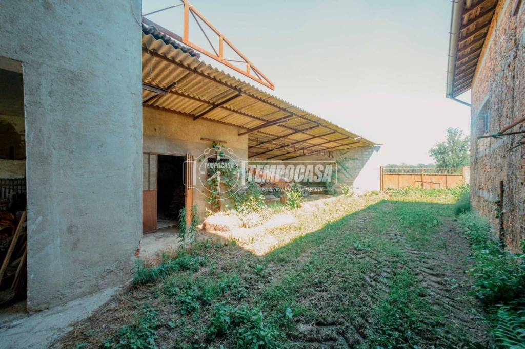 immagine annuncio 5 di 11
