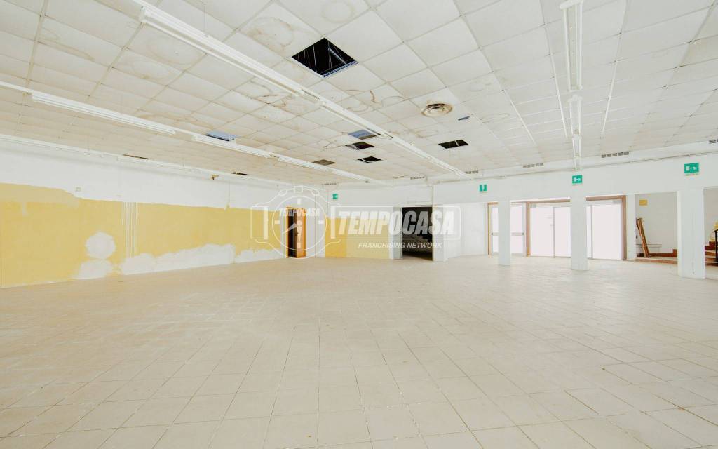 immagine annuncio 1 di 14