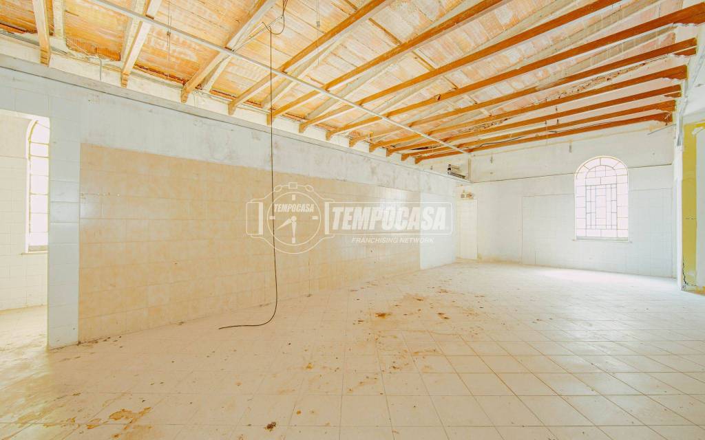 immagine annuncio 2 di 14