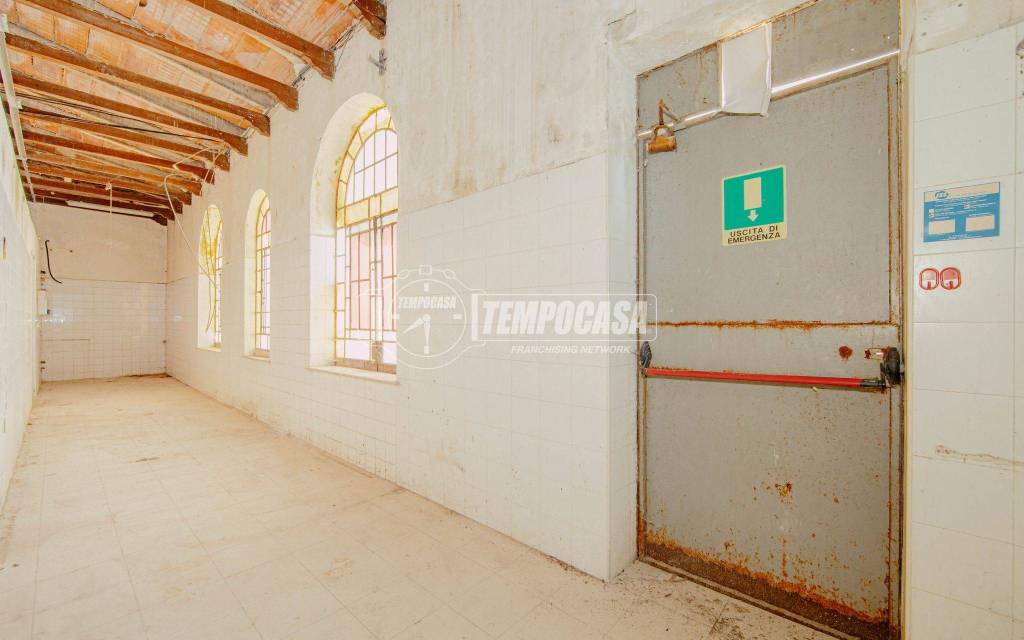 immagine annuncio 4 di 14