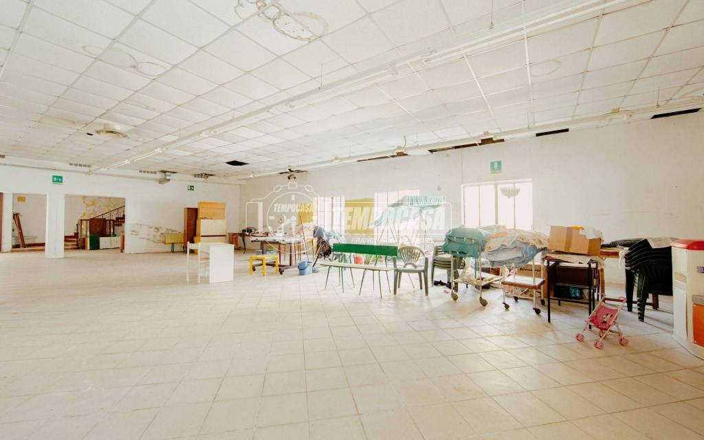 immagine annuncio 6 di 14