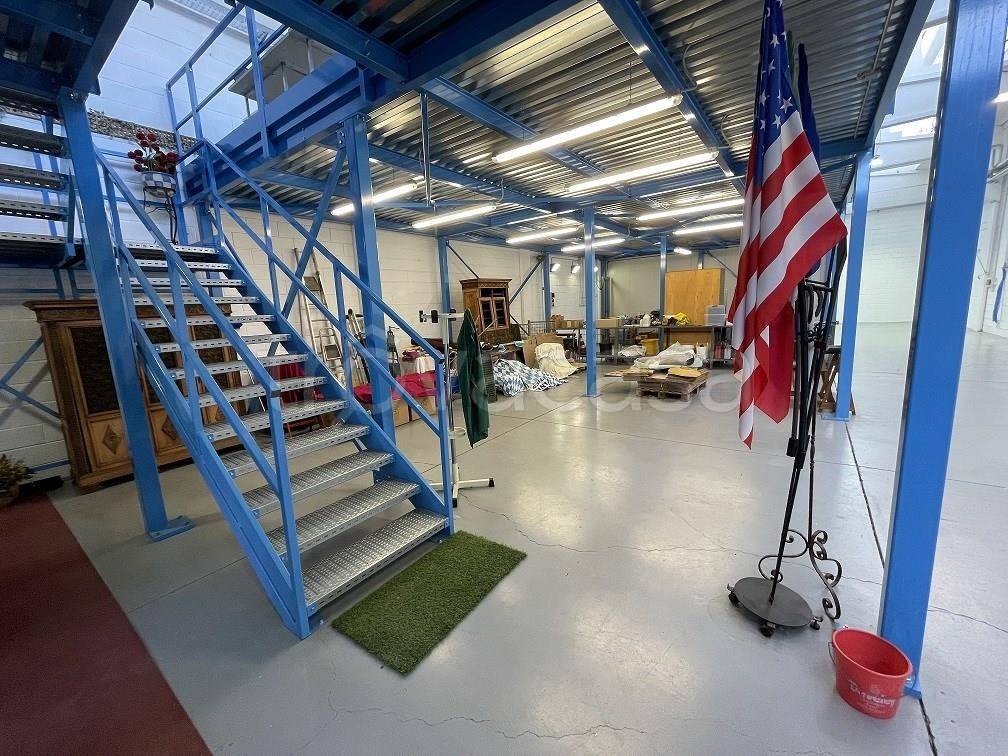 immagine annuncio 9 di 15