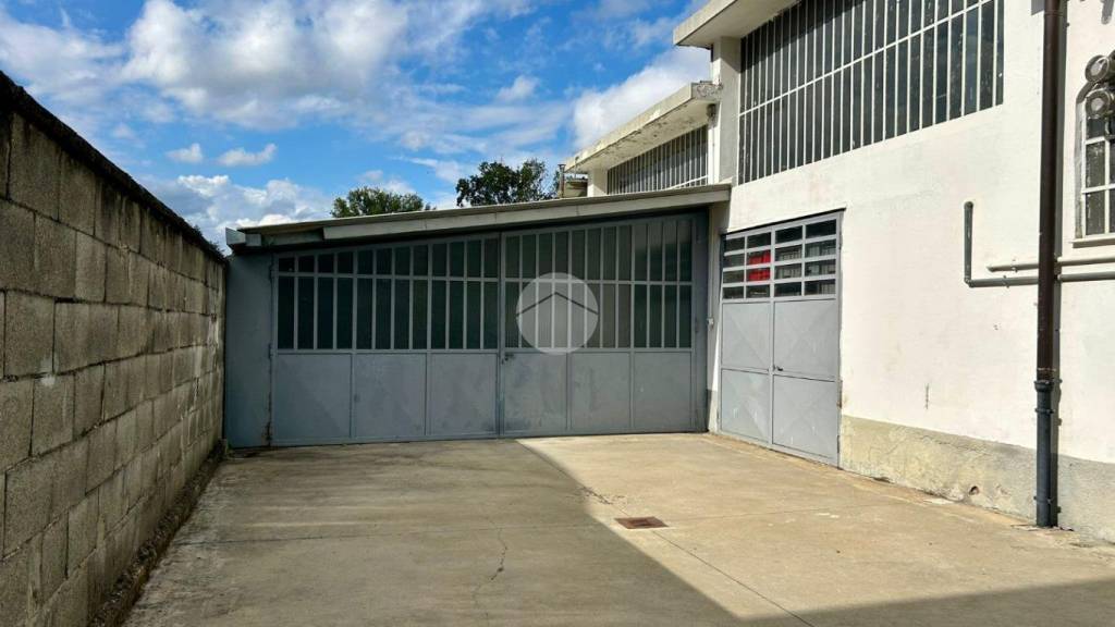 immagine annuncio 1 di 13