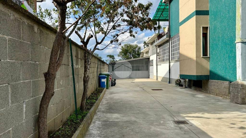 immagine annuncio 7 di 13