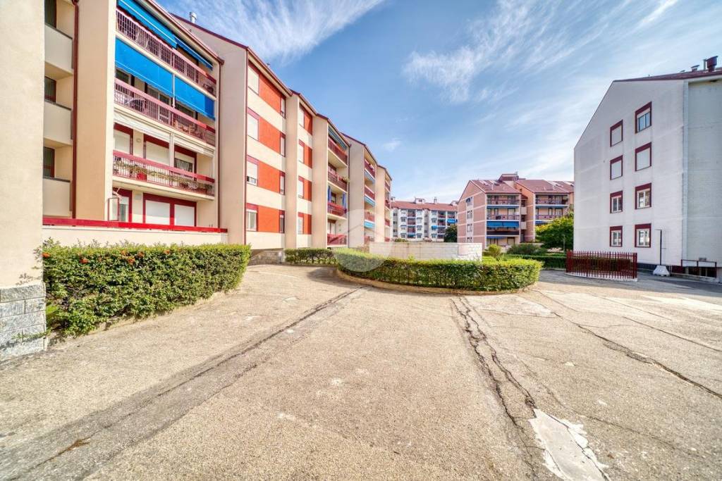 immagine annuncio 2 di 15