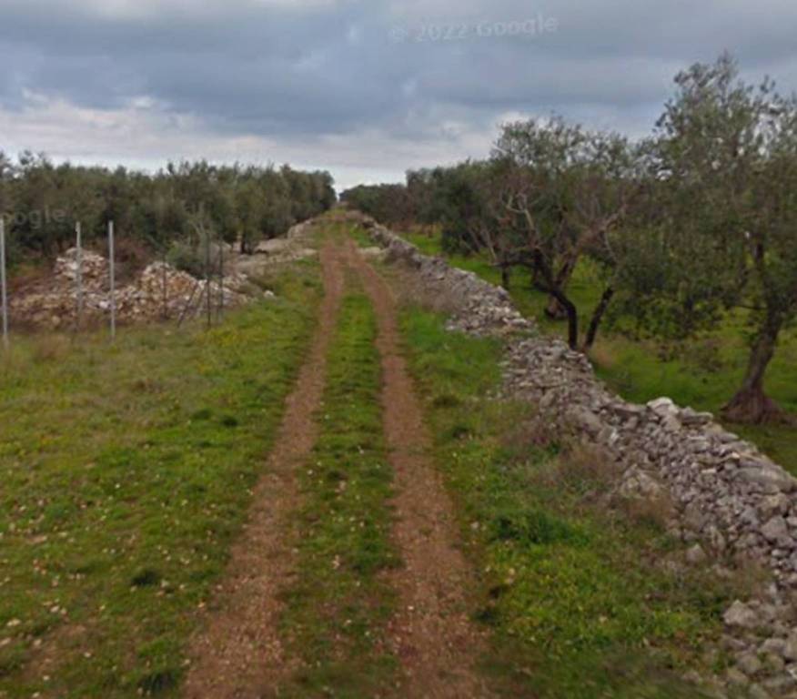 immagine annuncio 10 di 11