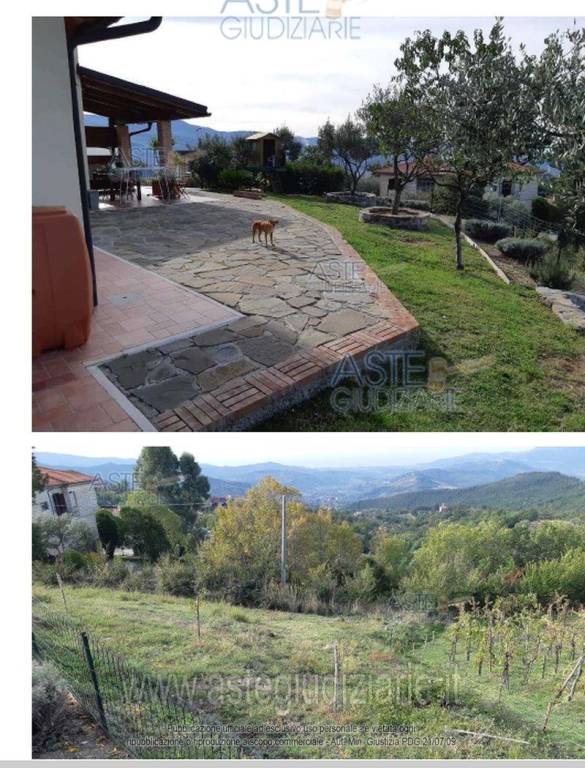 immagine annuncio 3 di 6