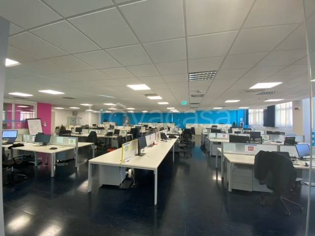 immagine annuncio 2 di 8