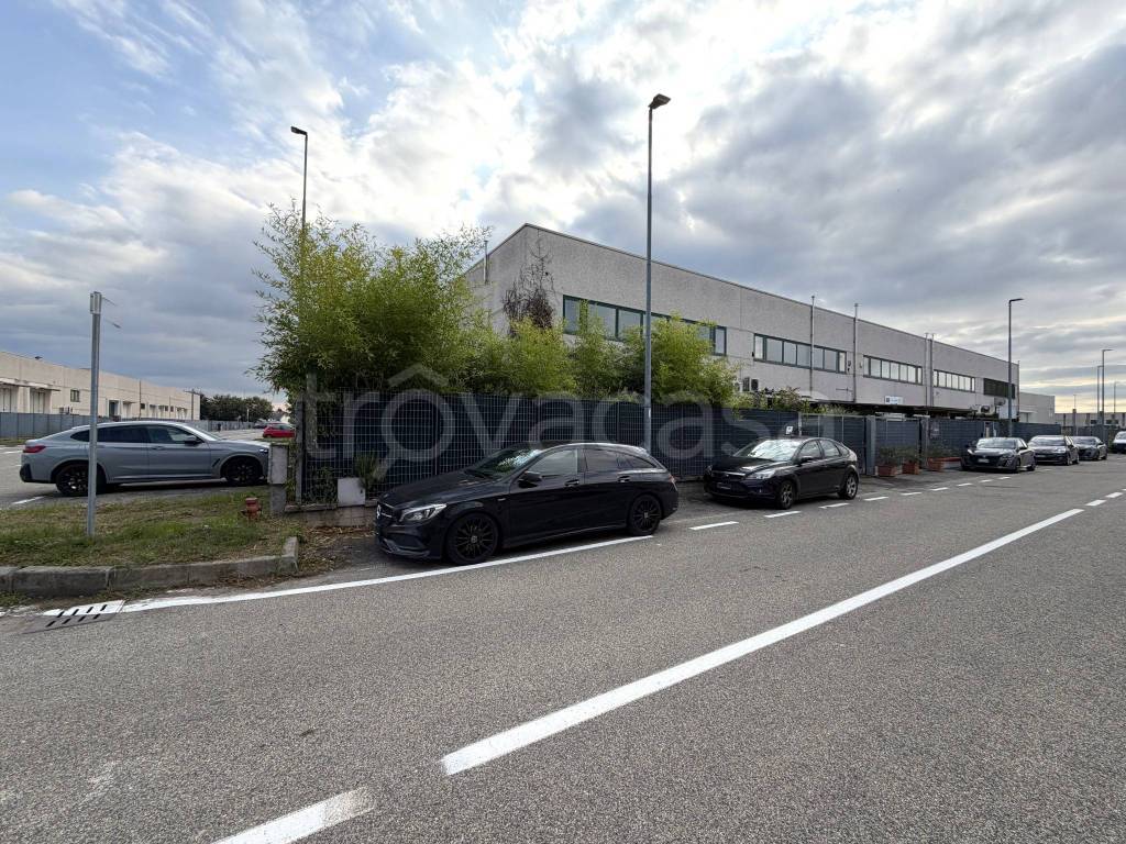 immagine annuncio 1 di 11