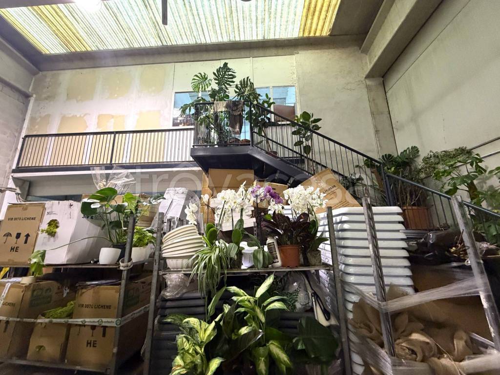 immagine annuncio 7 di 11