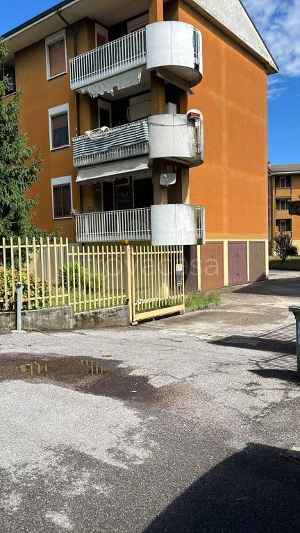 immagine annuncio 5 di 15