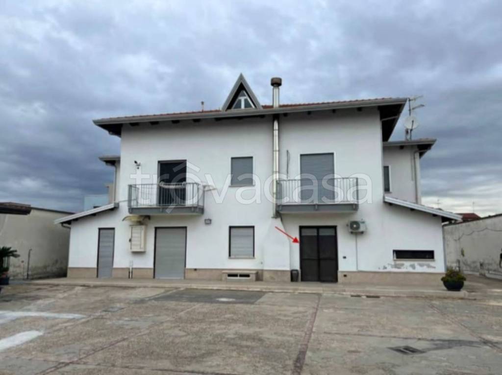 immagine annuncio 11 di 13