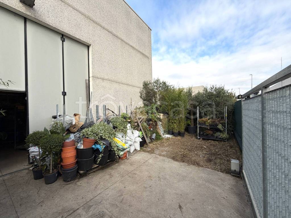 immagine annuncio 3 di 11