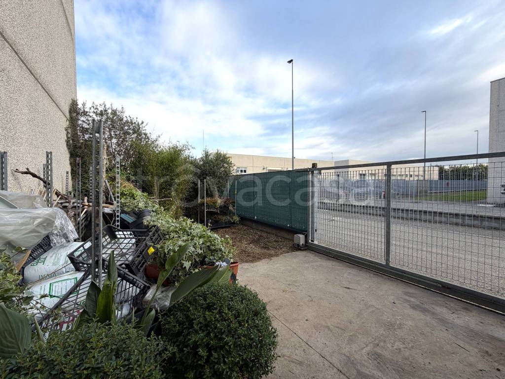 immagine annuncio 4 di 11