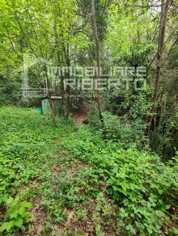 immagine annuncio 1 di 8