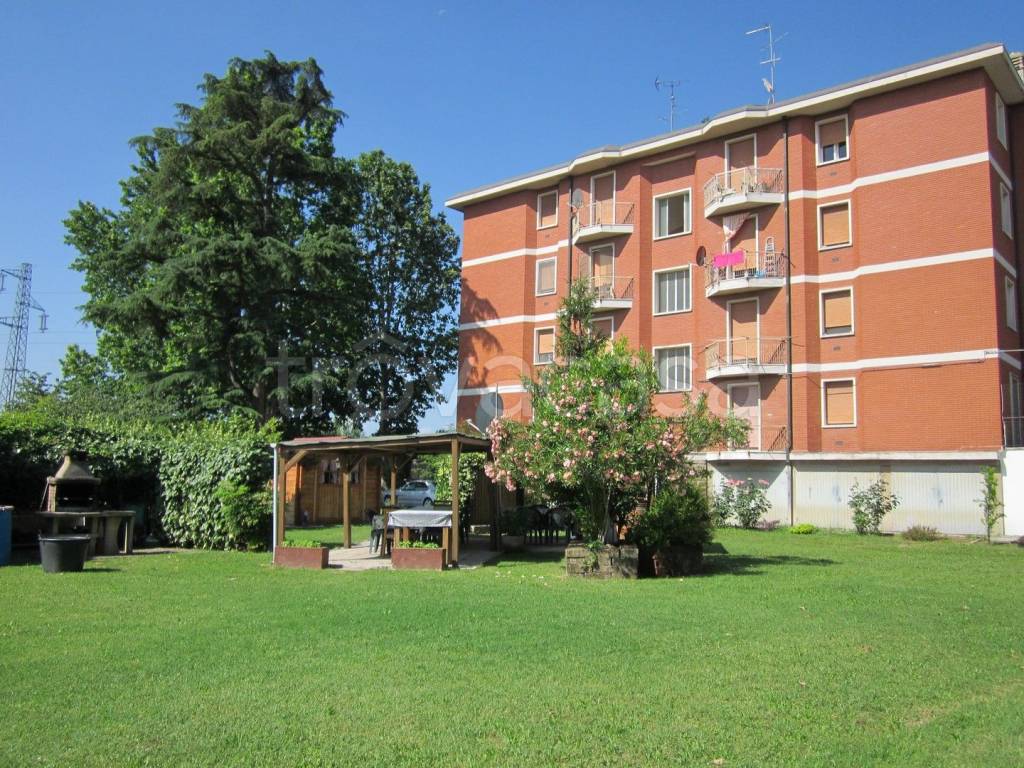 immagine annuncio 1 di 11