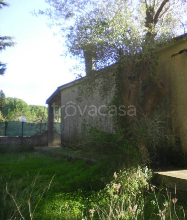 immagine annuncio 10 di 13