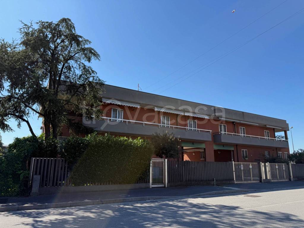 immagine annuncio 1 di 11