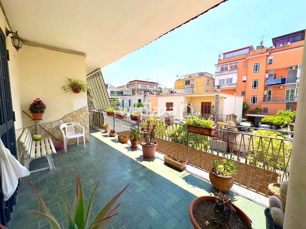 immagine annuncio 6 di 14