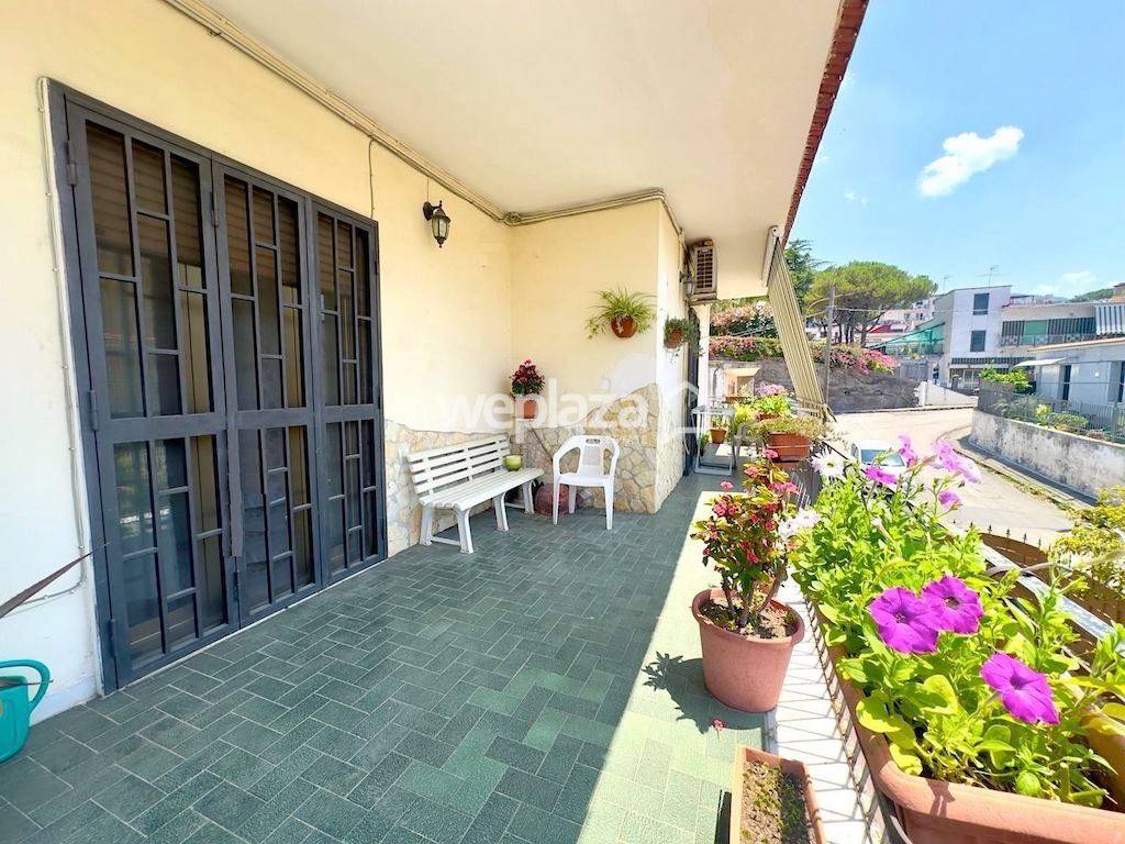 immagine annuncio 11 di 14