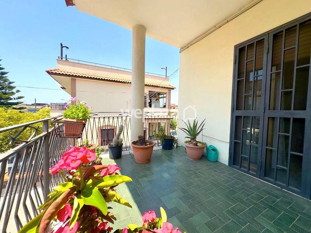 immagine annuncio 7 di 14