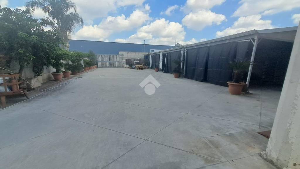 immagine annuncio 4 di 14