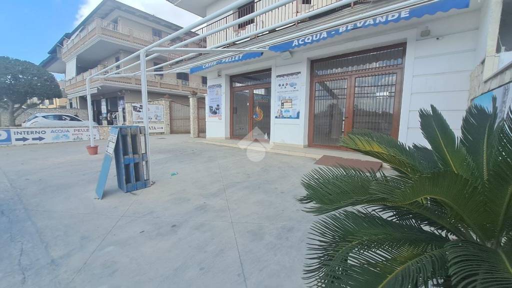 immagine annuncio 11 di 14