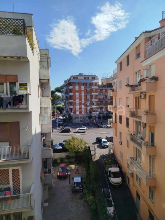 immagine annuncio 10 di 14