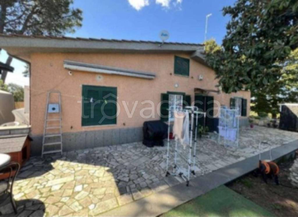 immagine annuncio 5 di 11